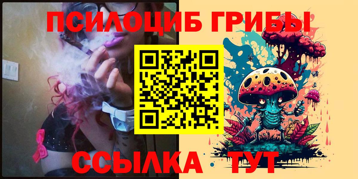 Псилоцибиновые грибы Psilocybine cubensis Сланцы